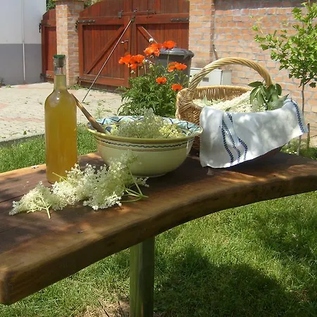 Nora Porta 3* Palkonya